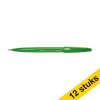 Aanbieding: 12x Pentel Sign SES15C brushpen groen 210136 - 1