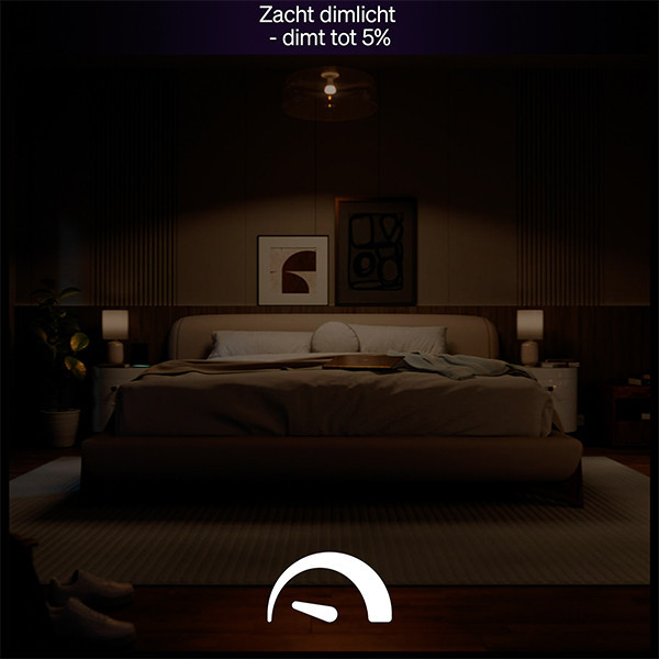 Philips Hue E27 smart lamp wit zigbee LPH04274 - 4