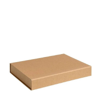 Pressel verzenddoos 302 x 215 x 30 mm (25 stuks) 298404