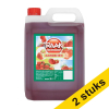 Aanbieding: 2x Raak limonadesiroop aardbei (5000 ml) 423435 - 1