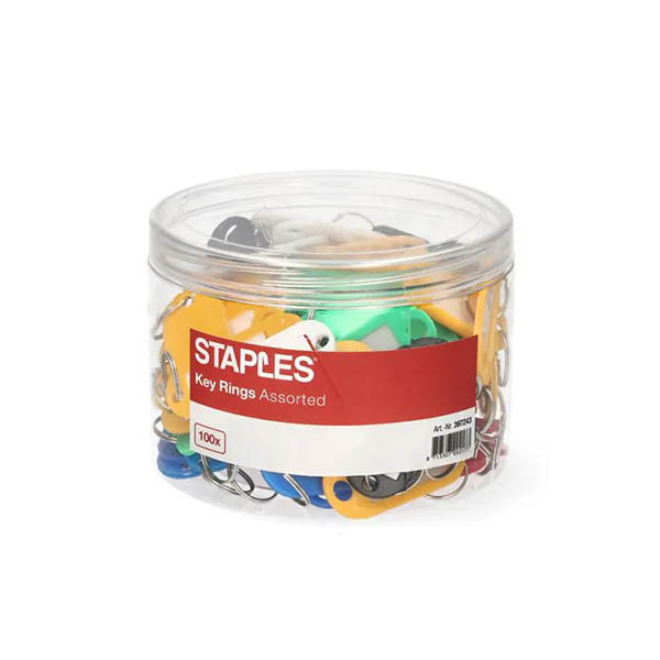 Staples Sleutellabel Assorti (100 stuks) 298007 - 1