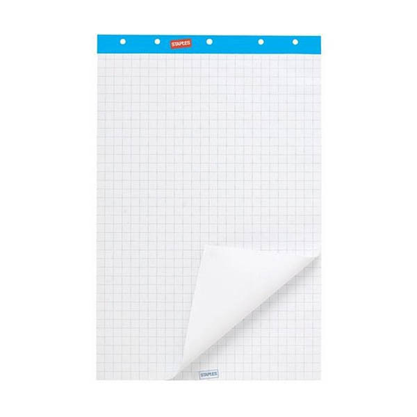 Staples flipoverblok blanco/ruit 65 x 100 cm (2 x 50 vellen) 100060660 302900 - 1