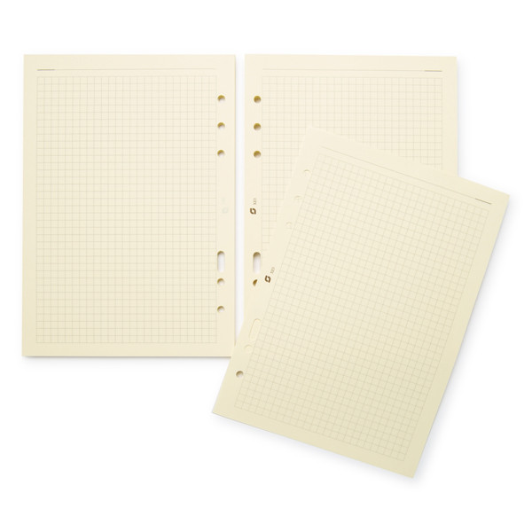 Succes A5/Executive notitiepapier geruit crème 100 vel XE5C 262211 - 1