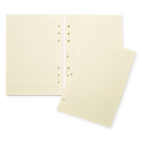 Succes A5/Executive notitiepapier geruit crème 100 vel XE5C 262211