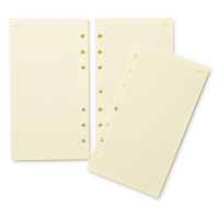 Succes Standard notitiepapier geruit crème 100 vel XT5C 262210