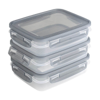 Sunware Club Cuisine transparante diepvriesdozen met clips grijs 0,7 liter (3 stuks) 216817