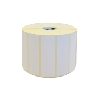 TSC DT-S100032LL etiketten 100 mm x 32 m (origineel) DT-S100032LL 090342
