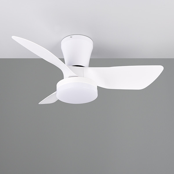 Plafondventilator met ledlamp | Randers | Ø 76 cm | 2700-6000K | Wit | 20W | Trio Lighting LTR00716 - 1