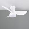 Plafondventilator met ledlamp | Randers | Ø 76 cm | 2700-6000K | Wit | 20W | Trio Lighting LTR00716 - 1