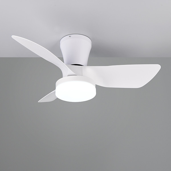 Plafondventilator met ledlamp | Randers | Ø 76 cm | 2700-6000K | Wit | 20W | Trio Lighting LTR00716 - 2