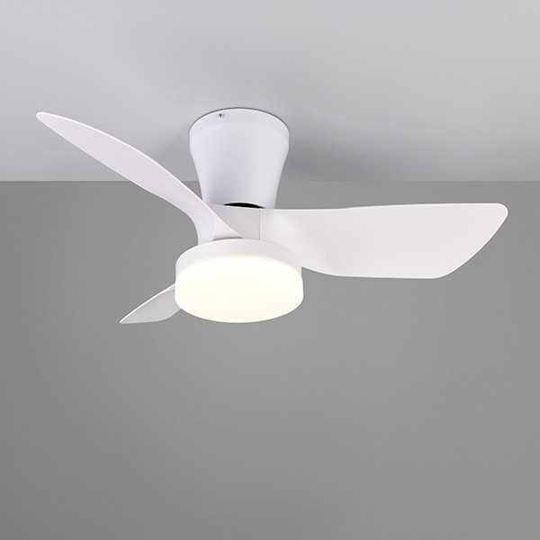 Plafondventilator met ledlamp | Randers | Ø 76 cm | 2700-6000K | Wit | 20W | Trio Lighting LTR00716 - 3
