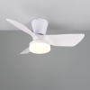 Plafondventilator met ledlamp | Randers | Ø 76 cm | 2700-6000K | Wit | 20W | Trio Lighting LTR00716 - 3