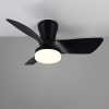 Plafondventilator met ledlamp | Randers | Ø 76 cm | 2700-6000K | Zwart | 20W | Trio Lighting LTR00717 - 2