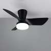 Plafondventilator met ledlamp | Randers | Ø 76 cm | 2700-6000K | Zwart | 20W | Trio Lighting LTR00717 - 3