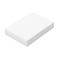White Label papier A4 1 pak van 500 vellen – 75 g/m² 302085