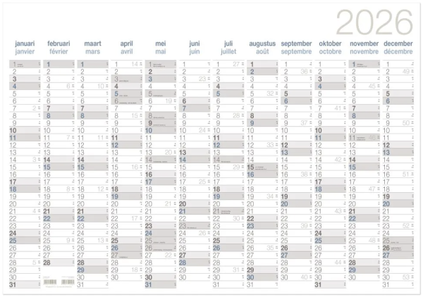 Annoplan jaarplanner 400 x 600 mm 2-talig 202562 - 1