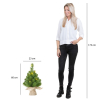 Norton kunstkerstboom 60 cm incl. 15 lampjes LBB00102 - 4