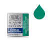 Winsor & Newton Cotman aquarelverf 696 viridian hue (halve nap) 410504 - 1