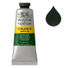 Winsor & Newton Galeria acrylverf 311 hookers green (60 ml)