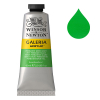 Winsor & Newton Galeria acrylverf 483 permanent green light (60 ml)