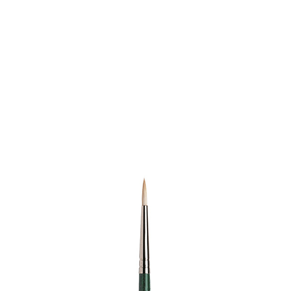 Winsor & Newton Winton olieverfpenseel rond (nummer 2) 410457 - 1