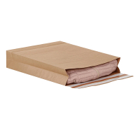 e-Green envelop met blokbodem bruin 400 x 500 x 100 - zelfklevend (100 stuks) 69116 209420