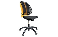 Ergonomische rugsteunen