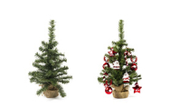 Kleine kerstbomen