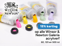 Actie Winsor & Newton Galeria