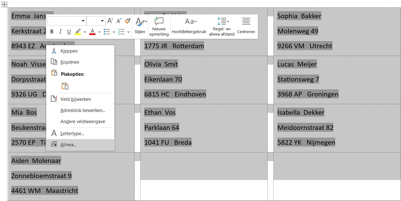 Screenshot van geselecteerde etiketten met adresgegevens en de optie 'Alinea' in Word